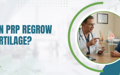 Can PRP Regrow Cartilage?